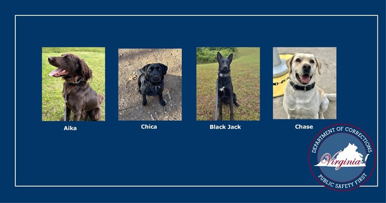 VADOC K9s to receive body armor. 