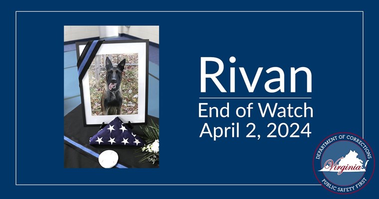 Photo of K-9 Rivan and folded American flag and medal. End of Watch: April 2, 2024