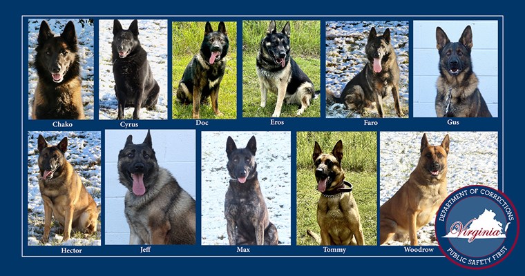 VADOC K9s receiving donation of body armor