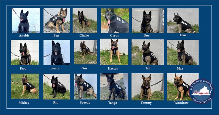 Virginia Department of Corrections, VA, K9s Anubis, Ben, Chako, Cyrus, Doc, Eros, Faro, Farron, Gus, Hector, Jeff, Max, Mickey, Rio, Speedy, Tango, Tommy, and Woodrow all wearing protective vests.