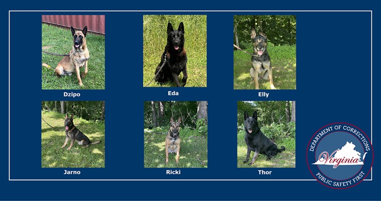 Virginia Department of Corrections K9s Dzipo, Eda, Elly, Jarno, Ricki, and Thor to get donation of body armor