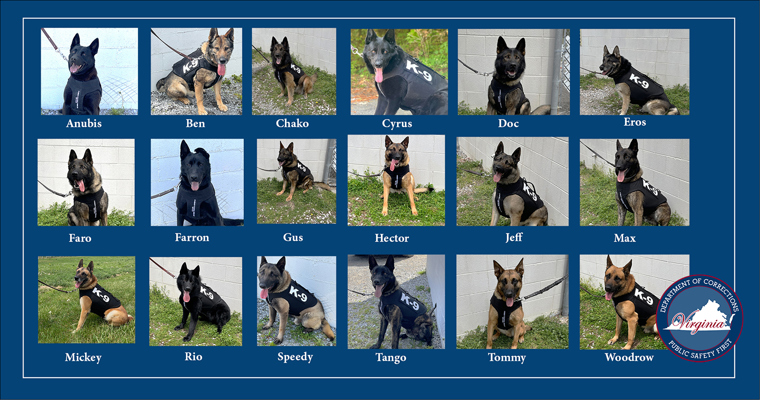 VADOC K9s Anubis, Ben, Chako, Cyrus, Doc, Eros, Faro, Farron, Gus, Hector, Jeff, Max, Mickey, Rio, Speedy, Tango, Tommy, and Woodrow wearing protective vests.
