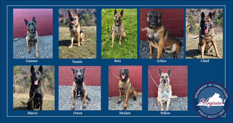 VADOC K9s will receive vest donations