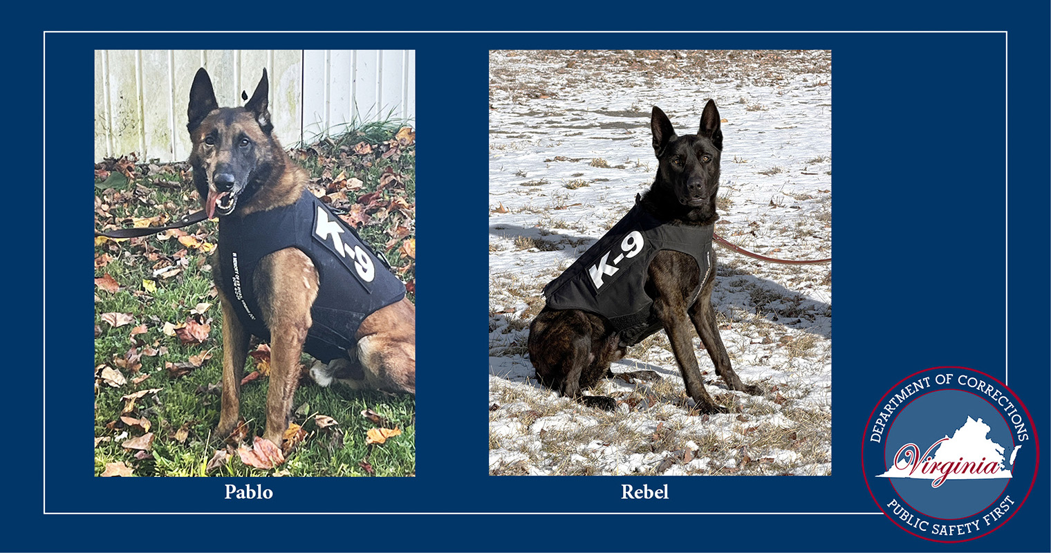 VADOC K9s Pablo and Rebel wearning newly donated body armor