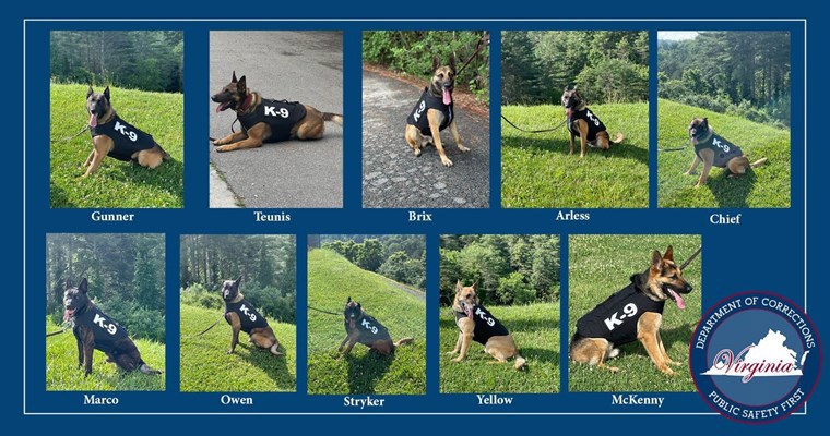 VADOC K9s wearing newly donated protective vests